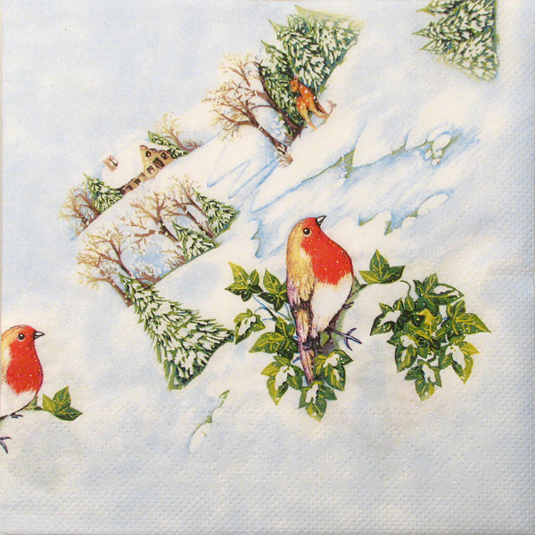 Salveta Winterwogel  ZI13