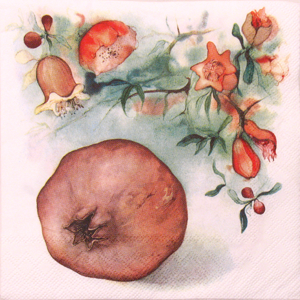 Salveta Pomegranate VP16