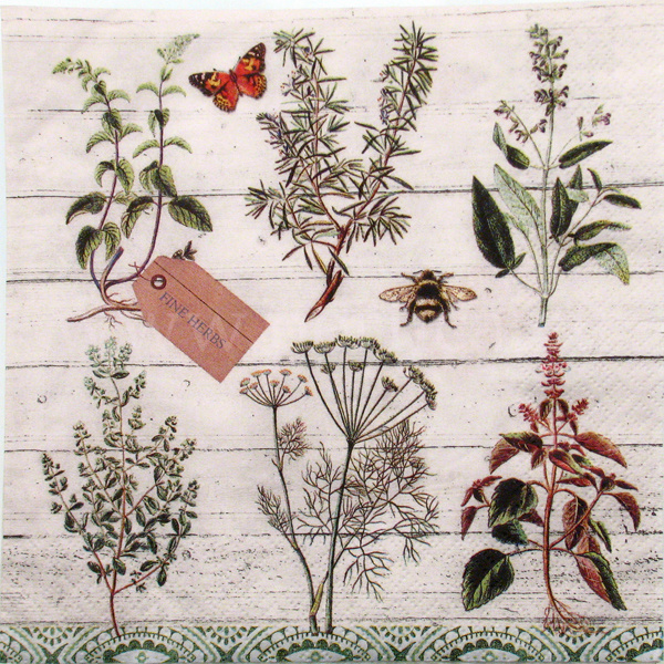 Salveta Floral  Study C60