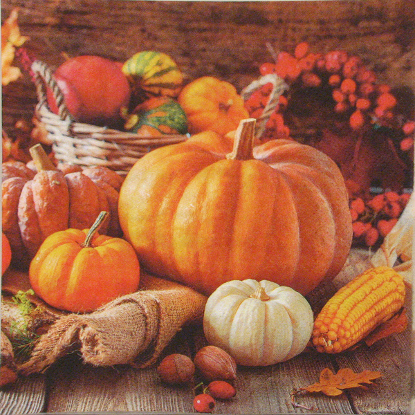 Salveta Thanksgiving Still Life VP1