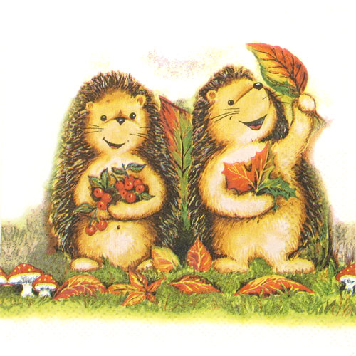 Salveta Happy and Spiky ZS15