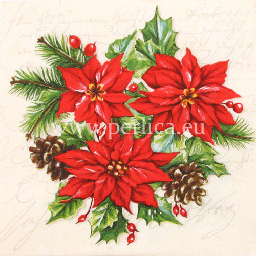 Salveta "Poinsetia Composition" BZ3
