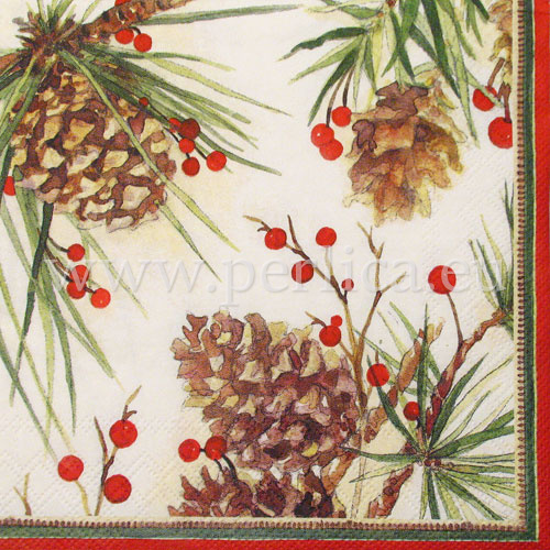Salveta "Cones and needles" ZI9