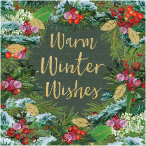 Salveta Winter Wishes ZI27
