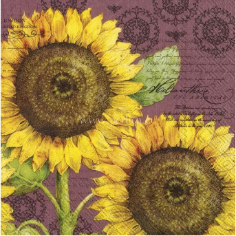 Salveta Botanical Sunflower mauve CJ10