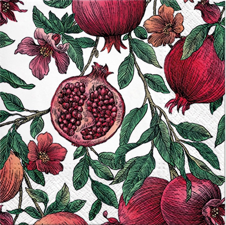 Salveta Autumn fruit VP19