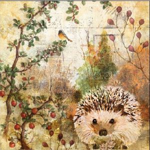 Salveta  Autumn Hedgehog  ZS10