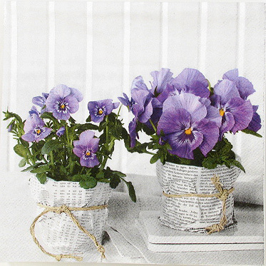 Salveta "Pansies news" C56
