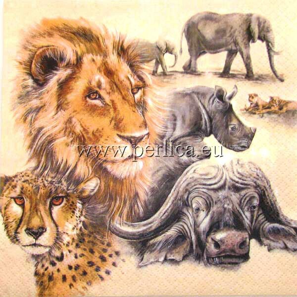 Salveta The Big Five J11