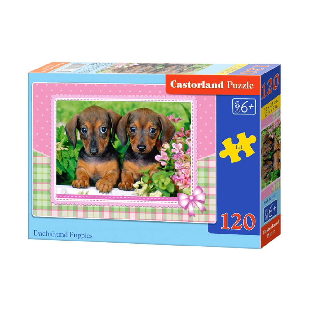 Puzzle 120 el. "Dachshund Puppies" PA2