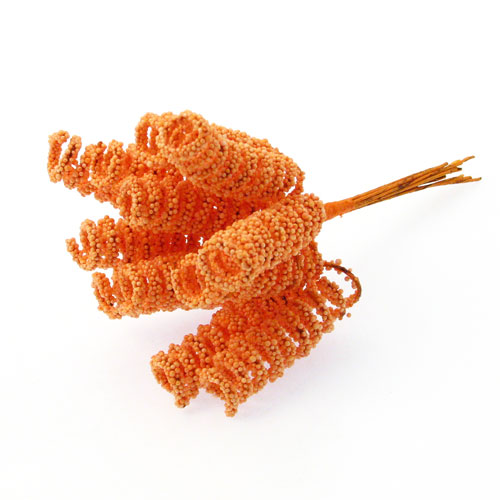 Cvijetici "Puslek vitica" narancasta