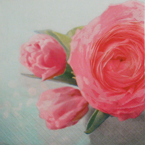 Salveta Vintage ranunculus, C25