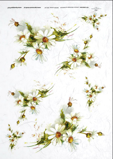 Decoupage_papir_51d809406d0a9.jpg