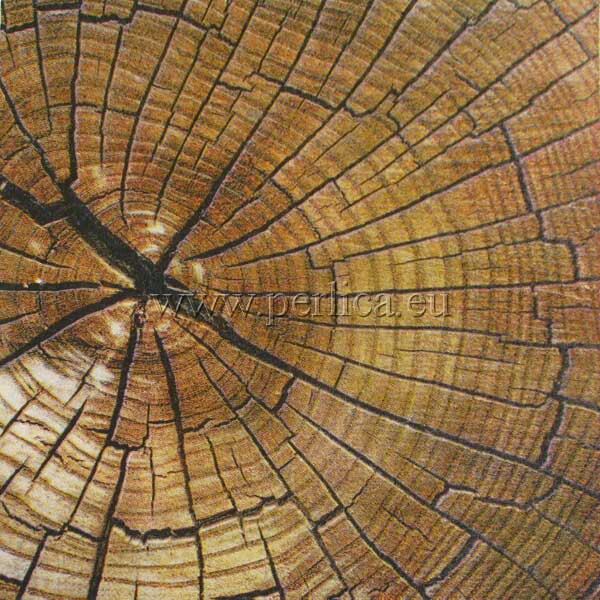 Salveta Old Oak , G16