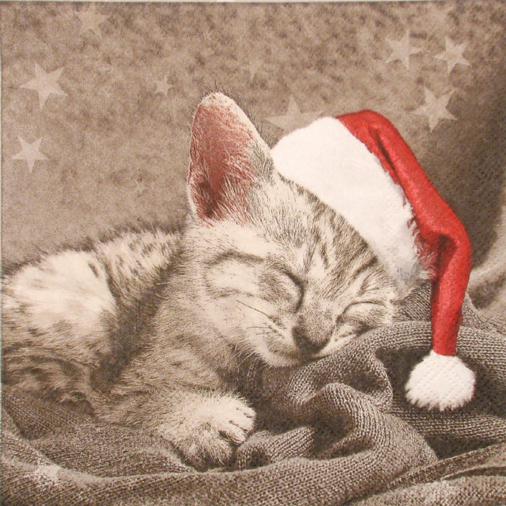 Salveta Santas Cat BZ17