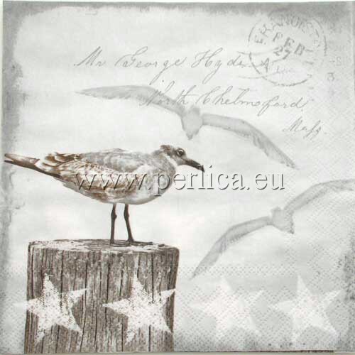 Salveta Seagulls, MO7