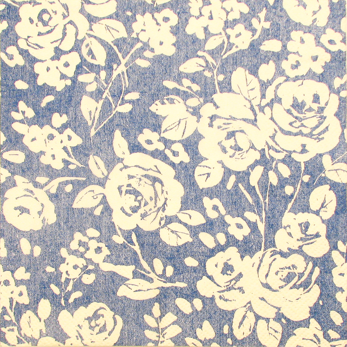 Salveta Solveg blue  CR14