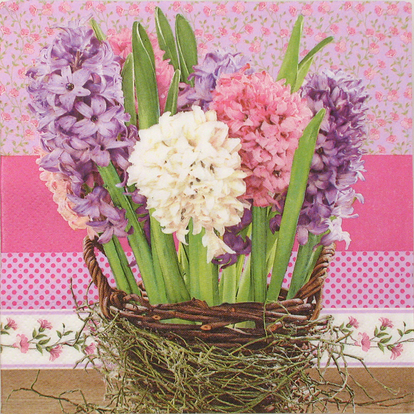 Salveta Hyacinths in a Basket C27