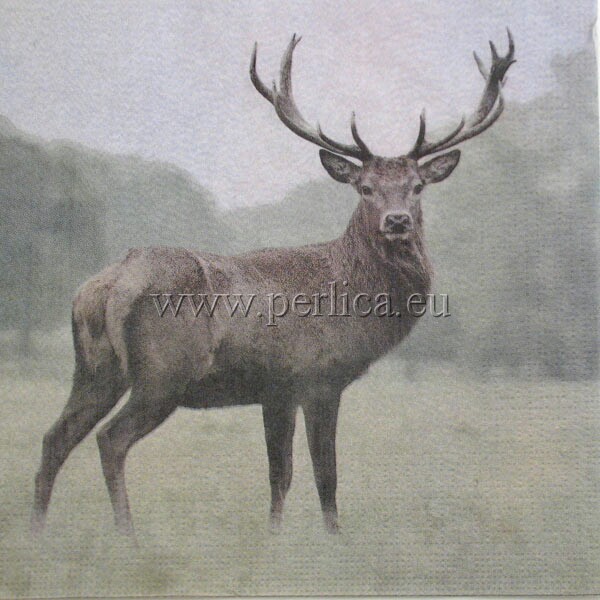 Salveta Deer ZS3
