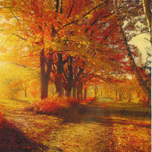 Salveta Autumn park, SP2