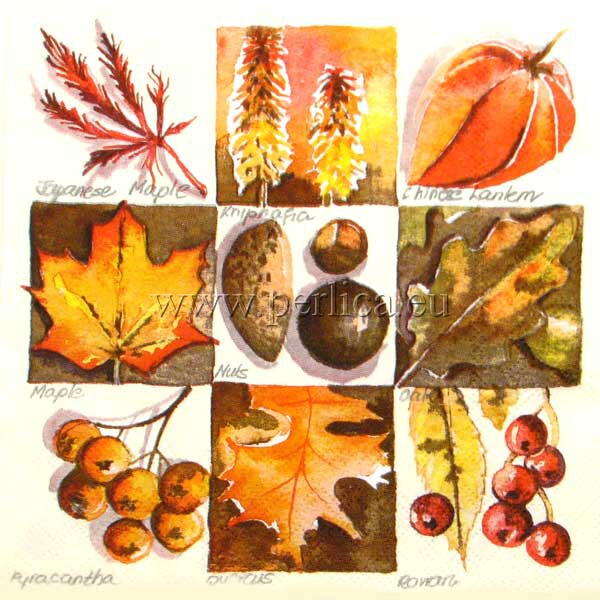 Salveta Autumn Square CJ6