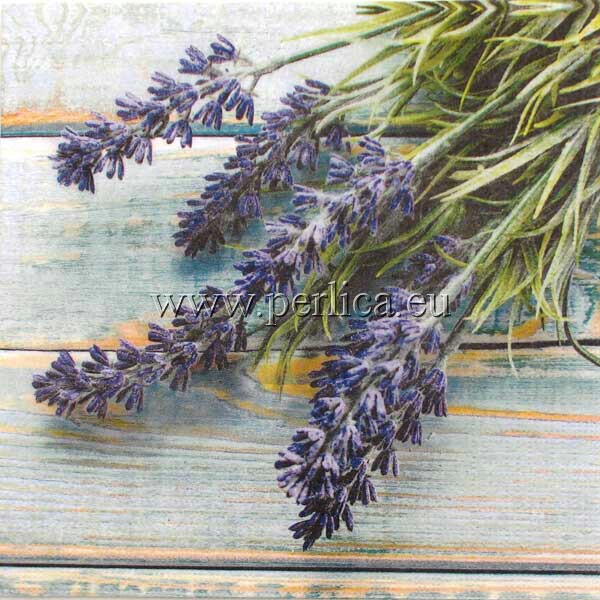Salveta French Lavander CL4