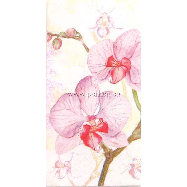 Pap.maramice Orchids lilac, PC6