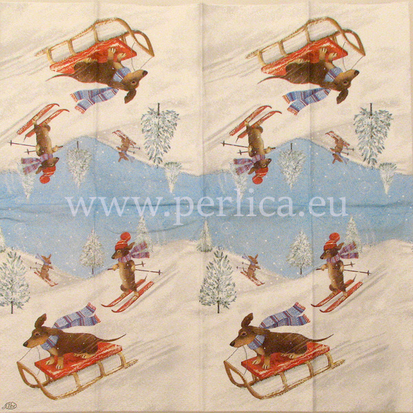 Pap.maramice Racing dogs 2 S2