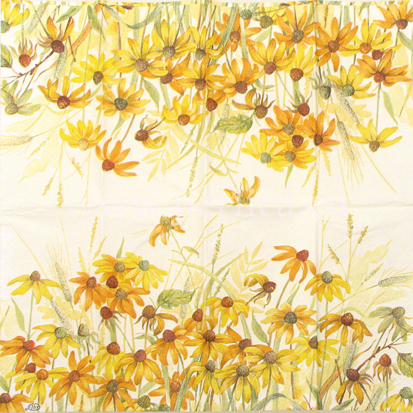 Pap.maramice Coneflower 2 PC1