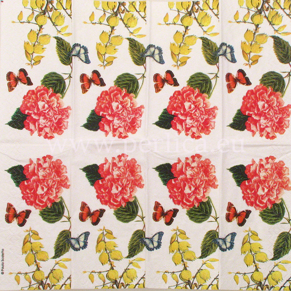 Pap.maramice Victoria garden ,2  PC1