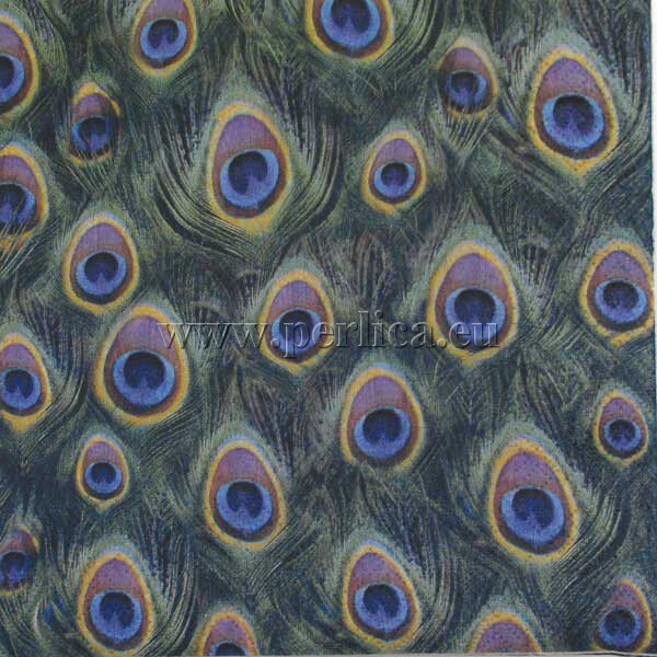 Salveta Peackok feathers PT8