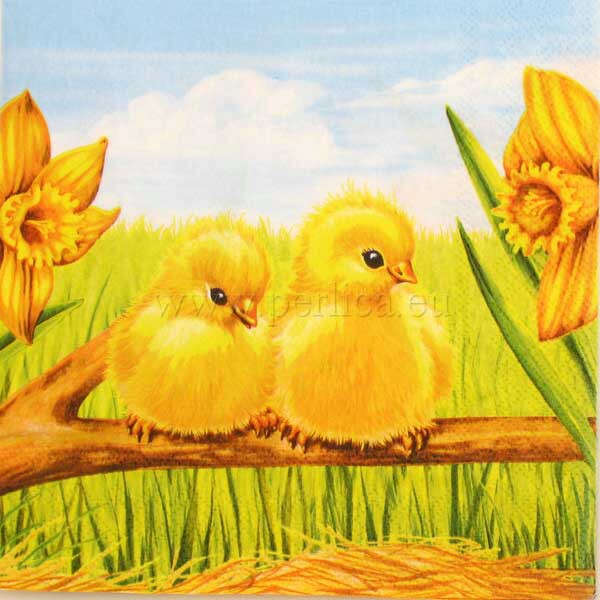 Salveta Easter starts SU19