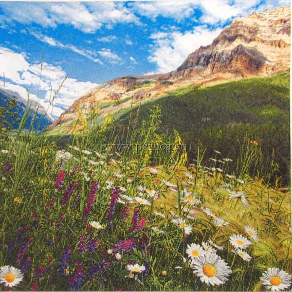 Salveta Mountain Scenery J1