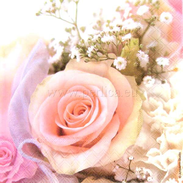 Salveta Rose Romance CR24