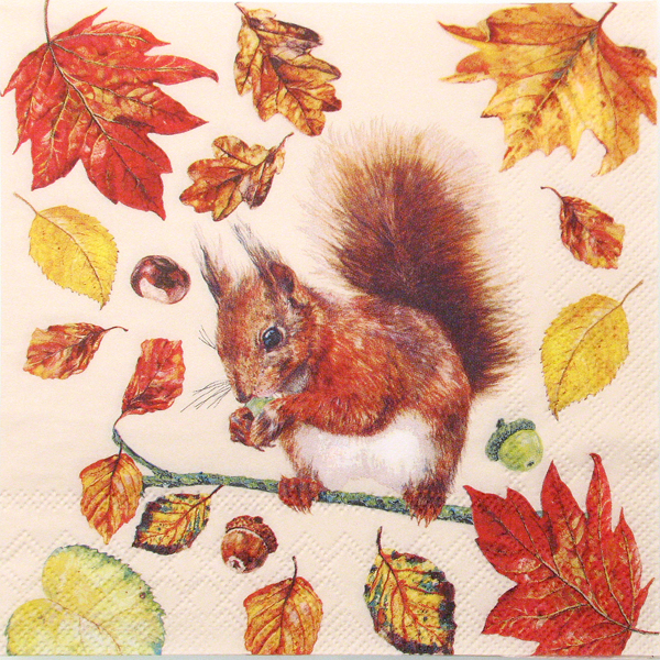 Salveta "Eating squirrel" ZS6