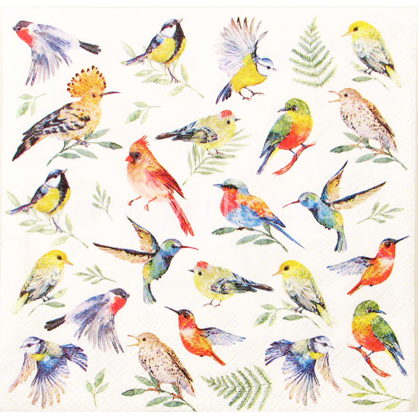 Salveta "Birds Votes" PT15