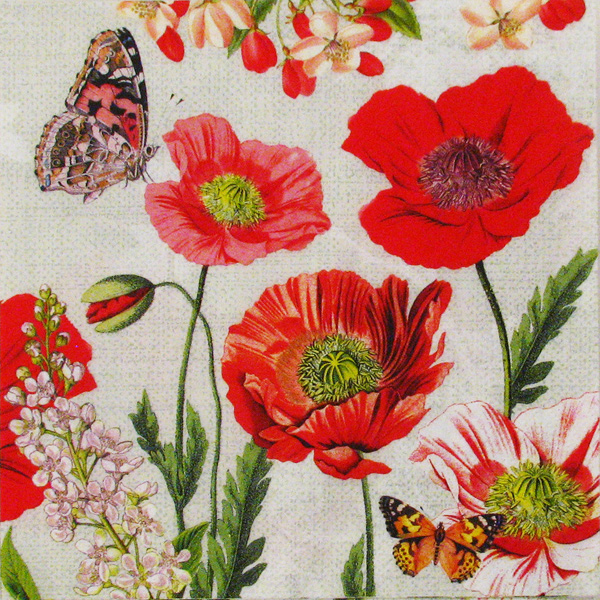 Salveta "Poppy field" CM4