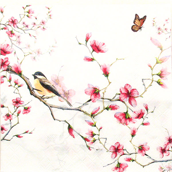 Saveta "Bird and blossom white" C10