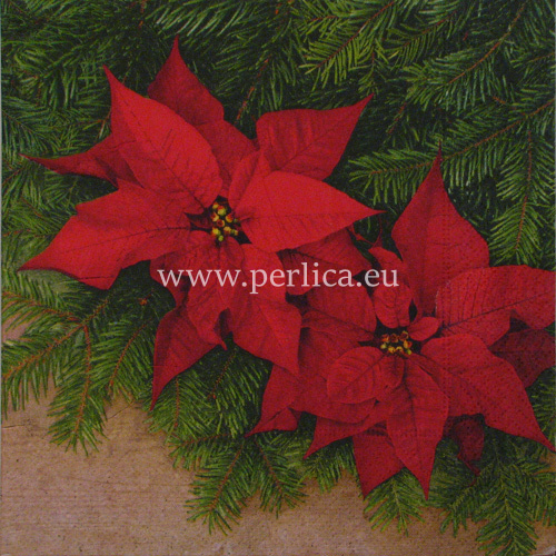 Salveta "Poinsettia blossom" BZ1