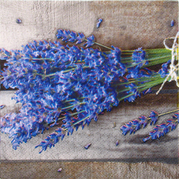 Salveta "Lavender" CL4