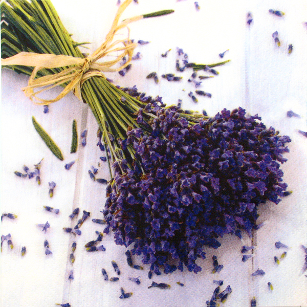 Salveta "Lavender" CL10