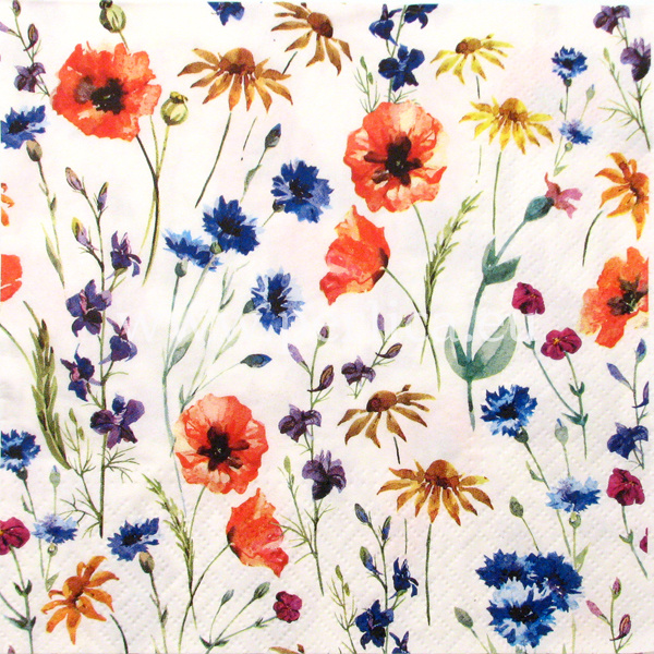 Salveta Poppies and  blue C9