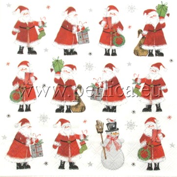 Salveta 11 Santas and Snowy DM3