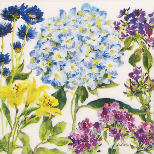 Salveta Hydrangea Garden C80