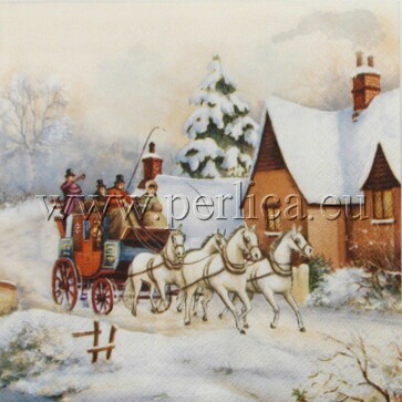 Salveta Winter carriage ride SPB1