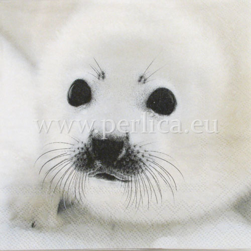 Salveta Baby Seal BMP1