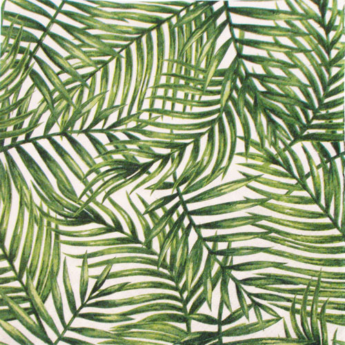 Salveta Palme C50