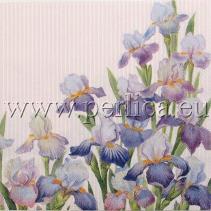 Salveta Perunike lilac C23