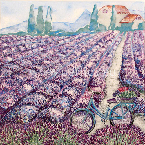 Salveta" Lavander view" CL11