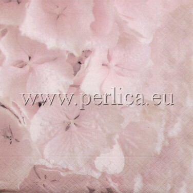 Salveta Hydrangea SG1